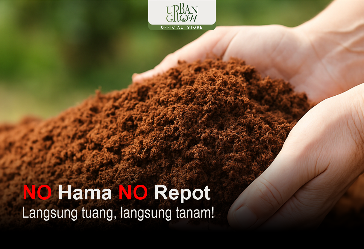 [background image] of retail setting (for a beauty product)