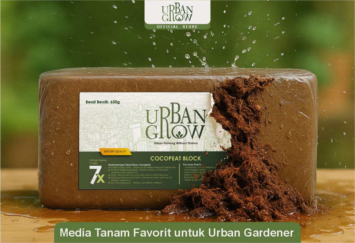 image of volunteer teaching children